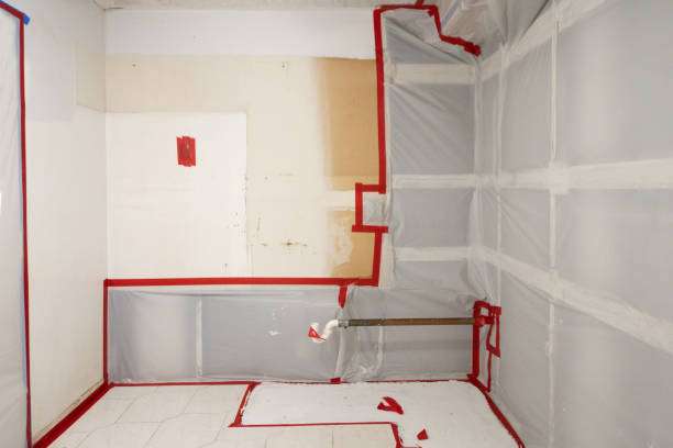 Best Black Mold Removal  in Pojoaque, NM